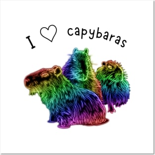 I love Capybaras Posters and Art